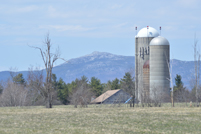 Mt. Monadnock - Witt Hill Rd Farm - Spring